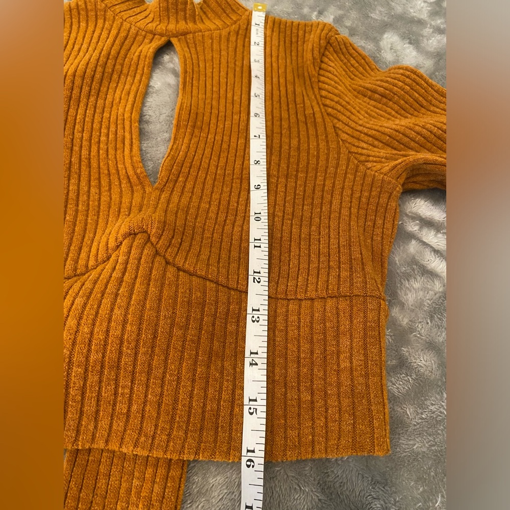 Saints + Secrets Women Long Sleeves Crop Top Size Small (like)Pumpkin Color - Picture 10 of 13